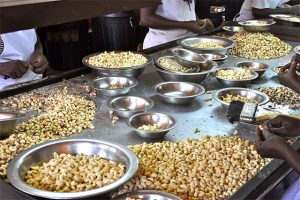 Read more about the article Cashing in on cashews: Africa must add value to its nuts