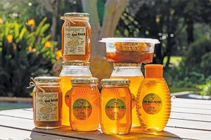 Read more about the article South Africa: A better (bee)hive for easier beekeeping