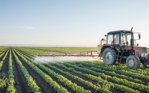 Read more about the article South Africa celebrates new e-certification system for agricultural exports